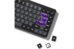 LQXQ Low Profile Keycaps, Double Shot PBT Touches 60 75 100%, PC Transparent Gris foncé/Violet pour la Plupart des commutateurs MX Clavier mécanique (Touches Uniquement)