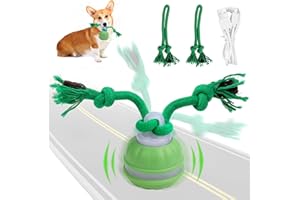 Diealles Shine Balle Interactive Chien, Jouet Interactif Chien USB Rechargeable, Balle Qui Roule Toute Seule, Jouet Intelligent pour Chiots