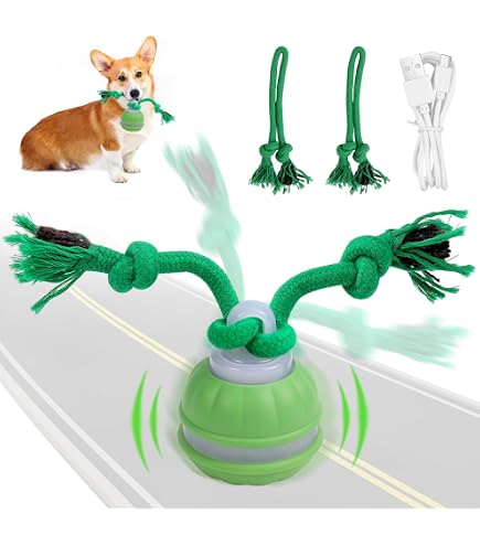 Giocattolo elettrico intelligente con palline per saltare a gravà Giocattolo per cani Ricarica USB Stuzzicare automaticamente i cani Artefatto Giocattoli intelligenti per gatti domestici 15 Giocattolo elettrico intelligente con palline per saltare a gravà Giocattolo per cani Ricarica USB Stuzzicare automaticamente i cani Artefatto Giocattoli intelligenti per gatti domestici 15