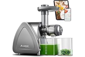 AAOBOSI AOBOSI Cold Press Juicer Machines with Reverse Function, Slow Masticating Juicer with Quiet Motor, High Juice Yield, Juice Cup Baffle and Brush for Easy Clean, Grey