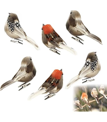 Uccelli Decorativi Casa Giardino Uccelli Decorativi Mini Uccellino Su Filo Decorazione A Uccellini Colorati Per Feste
