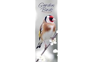 Garden Birds Slim 2026 Calendar | Slimline Wall Calendar | Bird Gift | Plastic Free Packaging | by Avonside Publishing