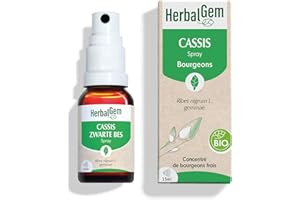 HerbalGem - Macérât-Mère - Spray Cassis Bio - Complément Alimentaire Gemmothérapie Concentrée - Extrait de Bourgeon Frais - pour Articulations, Muscles - Vegan - Format Nomade et Pratique - 15 ml