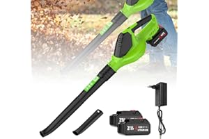 CARZIYER Soffiatore senza fili 21 V - 100 MPH, soffiatore elettrico a batteria, 3000 W, leggero, 5 velocità regolabili, Soffiatore a Batteria, ideale per giardino, prato, pulizia del giardino (due batterie)