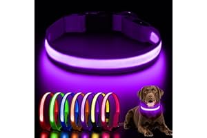 AOZOOM Light up Dog Collar, Rechargeable LED Dog Collar with 3 Glowing Modes, Adjustable Reflective Dog Collar for Small Medium Large Dogs(Purple, Medium)