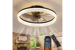 CANEOE Ventilatore da Soffitto con Luce, 50CM Dimmerabile Plafoniera con Ventilatore con Telecomando e APP, 6- Marce Lampadario con Ventilatore da Soffitto per Soggiorno, Camera da letto (Nero)