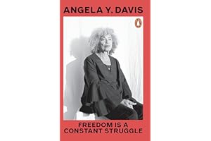 Freedom Is A Constant Struggle: Ferguson, Palestine and the foundations of a movement