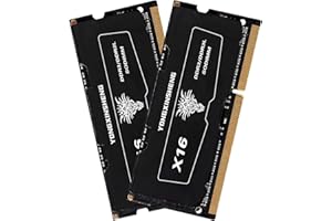 Yongxinsheng 16GB Kit (8GBx2) DDR3 / DDR3L 1600MHz Laptop RAM 204-Pin PC3L-12800 / PC3-12800 SODIMM Non-ECC Unbuffered 1.35V / 1.5V 2Rx8 Dual Rank CL11 Notebook Memory Arbeitsspeicher (Upgraded)
