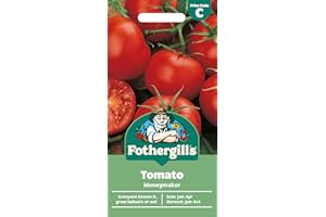 MR FOTHERGILLS Fothergill's Tomato Moneymaker, Vegetable Seeds, 30 Seeds, Sow: Jan-Apr, Red