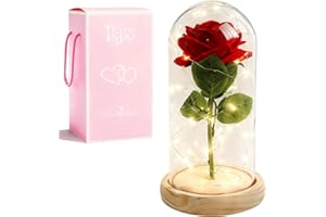 XVZ La bella e la bestia eterna rosa – regalo floreale per donne, rosa sotto campana di vetro con LED e supporto in legno per mamma, moglie o fidanzata per Natale, San Valentino o anniversari – rosso
