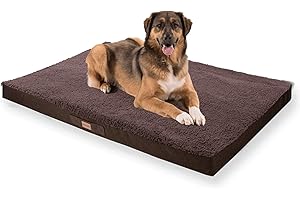 brunolie Balu Hundebett in Dunkelbraun, waschbar, orthopädisch und rutschfest, kuscheliges Hundekissen mit atmungsaktivem Memory-Schaum, Größe XXL (120 x 100 x 10 cm) Braun
