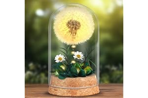 TUZELIYA Wish filler, real dandelion in glass with LED fairy lights, gift for women, original gift idea for birthday, wedding, Christmas