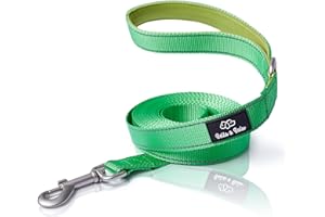 Bella & Balu Correa para Perros 5m - 10m - 15m - 20m | Correa de adiestramiento Extra Larga para Perros Grandes y pequeños | Correa de Nylon Flexible (Verde Fluorescente)