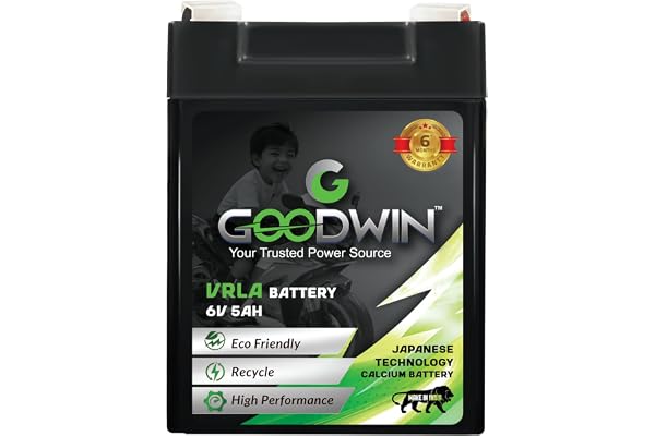 Goodwin Toy Battery 6V 5 AH,Japanese Technology Calcium Battery, High Performance 6 Months Warranty