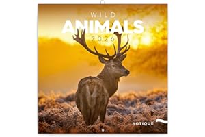 NOTIQUE Calendrier mural 2026 avec brochures d'animaux sauvages avec calendrier mensuel, 30 x 30 cm, 30 x 60 cm, ouvert