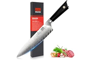 SHAN ZU Couteau Cuisine Damas 21 cm Japonais 67 Couches Damas 10Cr15Mov Couteau Utilitaire Professionnel en Acier à Haute Teneur en Carbone avec Manche en Fibre de Verre G10