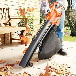 small leaf hoover
