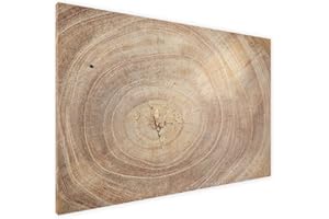 ALLBOARDS Magnetic Boards MetalBoard Wood Grain Tree Stump Trunk Wood Slice 60x40cm a Magnetic Metal Poster with an Imprint for All Types of Magnets, Wall Mounted + a Set of Accessories Included
