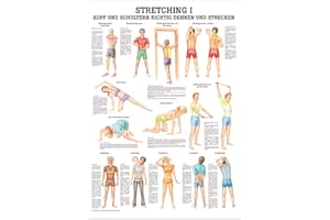 Sport-Tec Stretching I Lehrtafel Anatomie 100x70 cm medizinische Lehrmittel