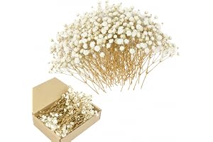 VINEST Brudslöja konstgjorda torkade blommor för pyssel: 100 stycken brudslöja torkade naturliga torkade blommor mini torkade blommor dekoration torra blommor för gör-det-själv fotoram (grön stjälk)