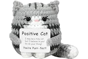 ChAusa Portafortuna Positive Peluche Gatto, Positive Peluche, Pocket Hug Mini Plush, con Biglietto Messaggio Positivo per Regalo Incoraggiante Casa Ufficio Auto Decorazione (Grigio)