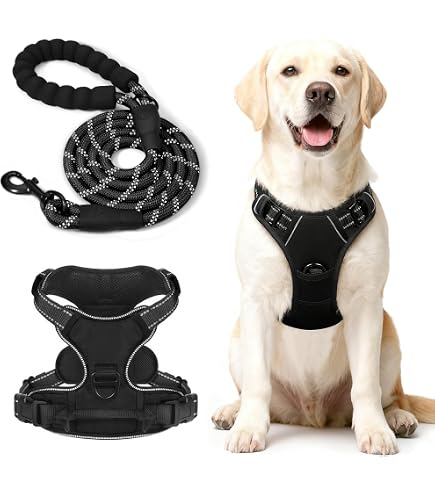 Pettorina Antifuga Per Cani Taglia Grande/media – Regolabile, Traspirante, Riflettente, Con Guinzaglio Incluso Per Passeggiate E Jogging