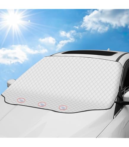 Plasticolor Hello Kitty Sanrio, Tapetes Para Piso De Caucho, | Meses