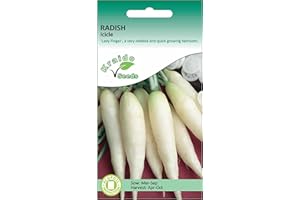 KRAIDO SEEDS White Radish Seeds for Planting UK - Icicle - 500 Seeds