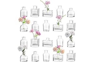 ‎HEWORY Hewory Small Vases for Table Decoration Wedding: 20 Mini Vases Set Various Vase Glass for Party - Small Glass Vases Mini Vases Baby Shower Wedding Decoration Table Birthday