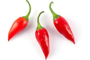 ACQUA TOWER GROWING SYSTEMS Chilli Plants, 'Prairie Fire', Full Plants in 1 Litre Pots, Chillies, Prairie Fire, Hot Chilli, Indoor or Outdoor, Grow Your Own, Garden Ready and Ready to Plant, Premium Quality Chillies (2)