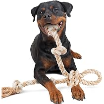 Fida Robustes Hundespielzeug Aus Naturbaumwolle – 4-teiliges Set Mit Ball, Ring, Knoten & Twist Für Große Hunde & Starke Kauer