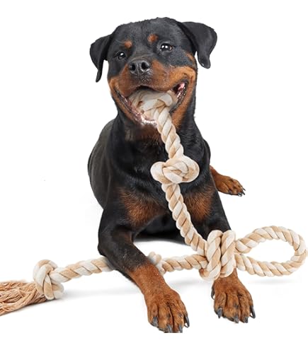 L&J Pets Uk: Huisdierbenodigdheden