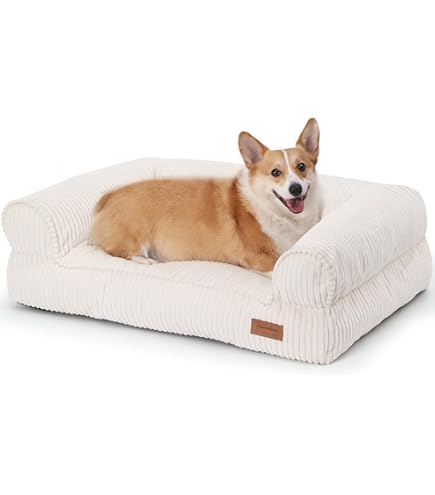 Letto Divano X Cani Amazon Cuccia Cane Interno Leo4dog Divano