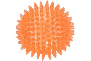 Rosewood Jolly Doggy Balle en Caoutchouc à Pics pour Attraper/Jouer Jouet pour Chien 8 cm