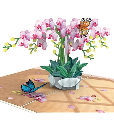 VELLUSTRA 3D Pop Up Karte Lavendel - Handgemachte Geburtstagskarte Mit Umschlag