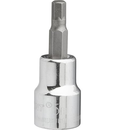 Teng Tools 3/8" Drive SAE Hex Allen Bit Socket - 5/32 Inch Size, Chrome Vanadium Steel (M381105-C)