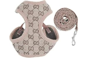 LOPUCK Pettorina Cane Taglia Piccola, Bande Regolabili, Cinghia per Cani con Morbida Imbottitura e Rete di Ventilazione per Cani di Piccola Taglia Running, Hiking & Training (b,XS)