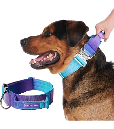 trockenfutter pferd test Senior Pferd Premium Trockenfutter