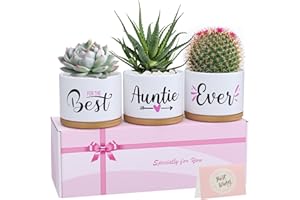 TuDou Gifts for Auntie, Birthday Gifts for Aunt from Niece Nephew, Unique Best Auntie Ever Ceramic Succulent Pots Planter Gifts for Any Occasion, Christmas for Aunt with Exquisite Box