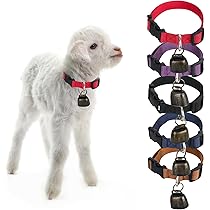 Schaf-Führungshalsband Nutztier | Canvas Mit Metallschließe | Für Schafe & Ziegen Größe L