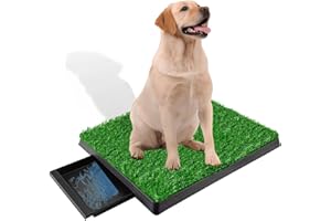 KASADIN Hundetoilette, Hundeklo Welpentoilette Trainingsunterlage mit Kunstrasen, Waschbar hundeklo Welpenklo Pinkelmatte Toilette Drinnen und Draußen für Kleine Hunde Grosse Hunde ältere