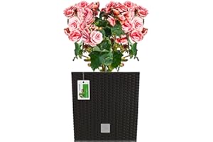 PAFEN Doniczka niska wykonana na wzór rattanu plecionki Donica z wkładem dystansowym 32 x 32,5 cm