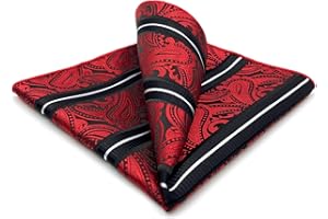 S&W SHLAX&WING Carré De Poche Paisley Traditionnel 32cm Costume Mariage Cérémonie Haut De Gamme