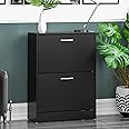 Vida Designs 2 Drawer Shoe Cabinet Cupboard Shoe Storage Organiser Pull Down Wooden Furniture Unit, White (Black)