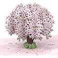 papercrush® Pop-Up Card Cherry Blossom Tree - 3D Birthday Card with Sakura Flowers for Women (Wife, Girlfriend & Partner), Handmade Baby Girl, Wedding Anniversary or Get Well Soon Giftcard