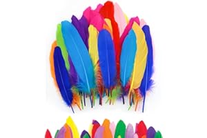 JISRKP 150Pcs Feathers, Feathers for Crafting, Craft Feathers, Coloured Feathers, Colorful Craft Feather in Bright Colors, Feathers for Hats, Party DIY Art Crafting Gift Box Filling Decoration(9-15cm)