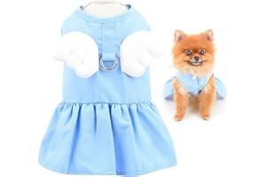SMALLLEE_LUCKY_STORE Angel Wing Vestido con Anillo en D para Perro, Vestido de Verano para Perros y Gatos pequeños, Cachorros Yorkie Chihuahua Ropa, Azul, XS