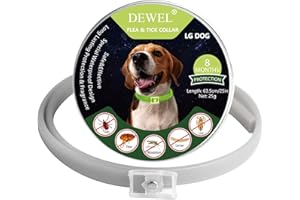 DEWEL Collar Antiparasitario Luminoso en Noche sin Electricidad, Collar contra Pulgas, Garrapatas, Piojos y Mosquitos, Tamaño 63,5cm para Perros Grandes, Medianos y Pequeños