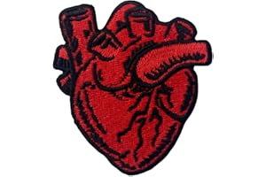 ZEGIN X-Ray Anatomico Di Cuore Ricamato Il Ferro Su Cucia Sulla Zona