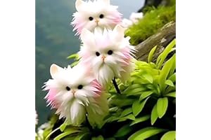 Worparsen 100 Stcs Katzenorchideensamen zum Pflanzen seltener Katzengesichtsorchideensamen Nicht-Gentechnik-Blumen Samen für Gartenblumentöpfe im Freien D